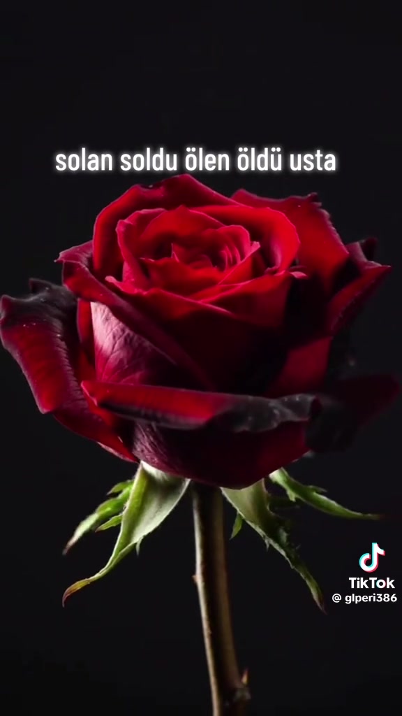 @Yanlız.Kaptan💔