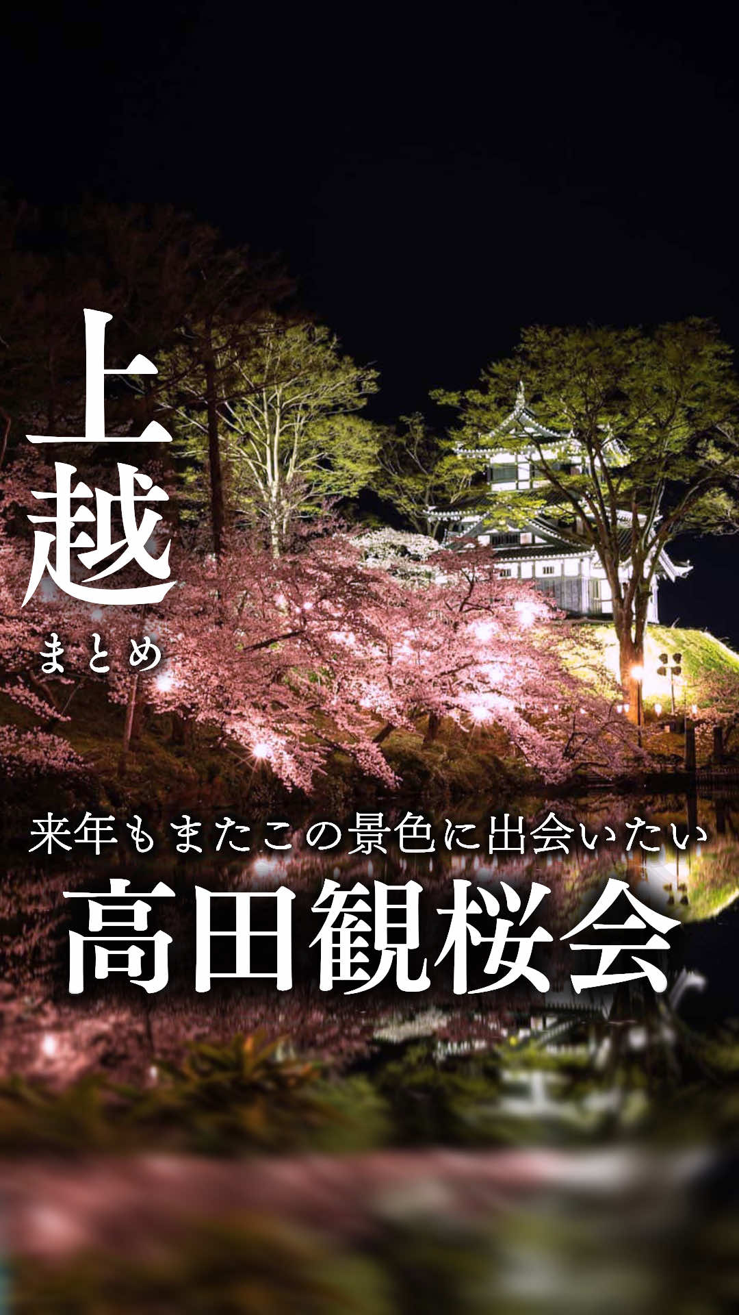 @上越グルメ｜ひらり