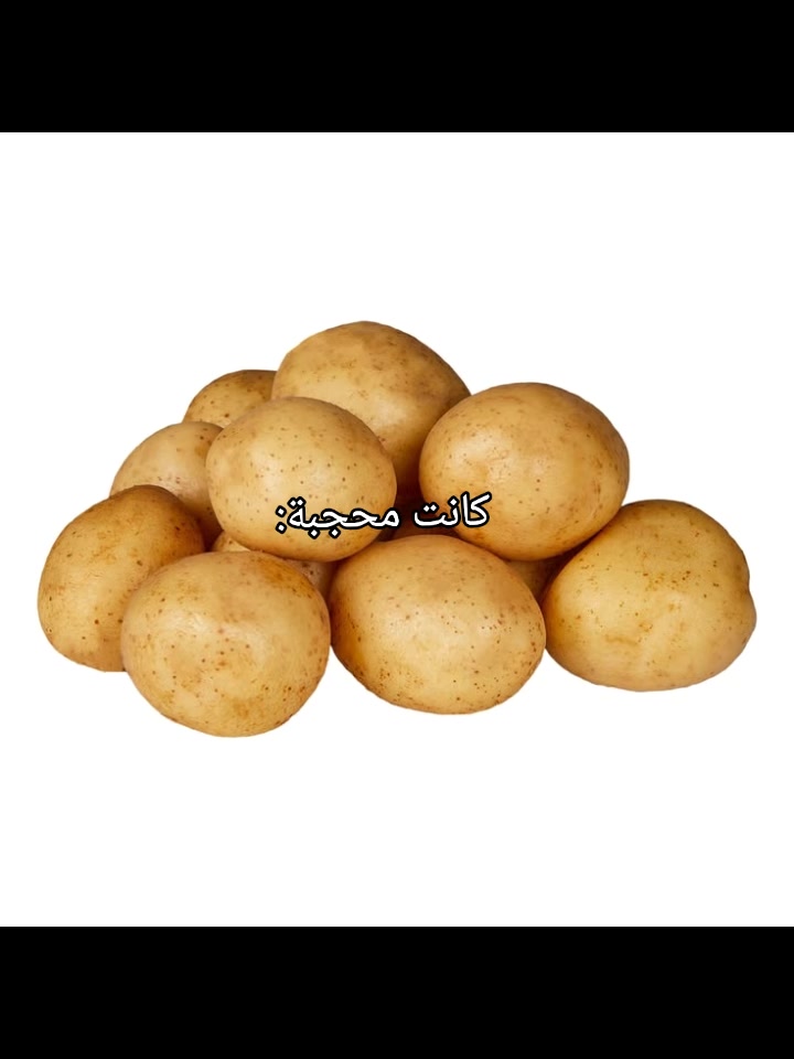 @كِـيَم آيـاࢪلـي🍊𐔌˖࣪ 𝜗ৎ