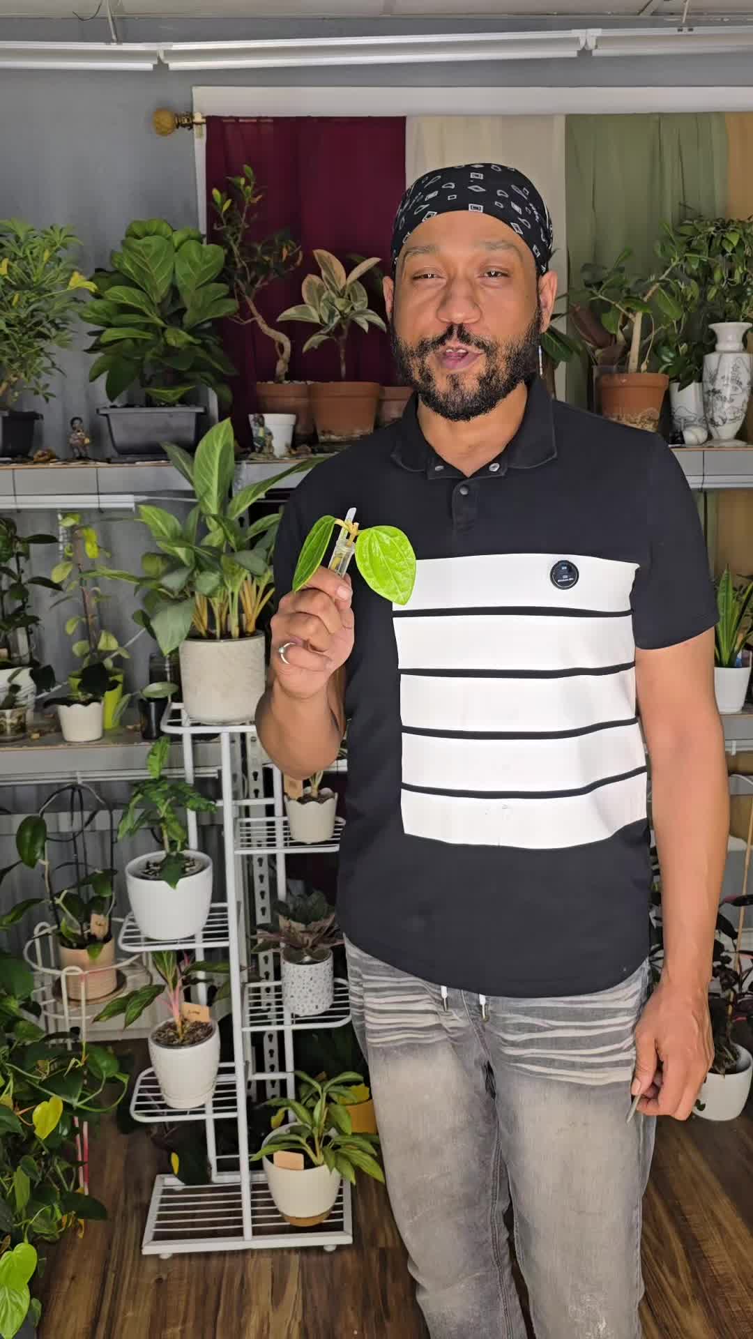 @JT - BigEGOPlants