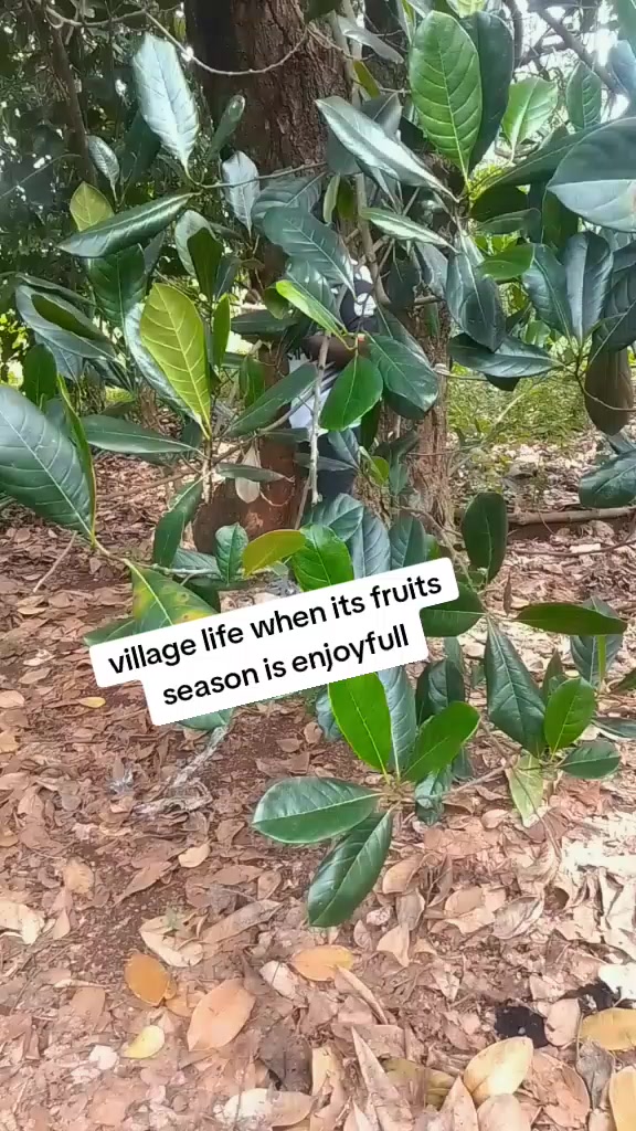 @twinx