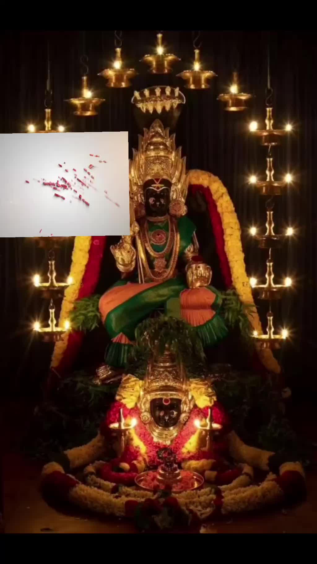 @Shalu Ram