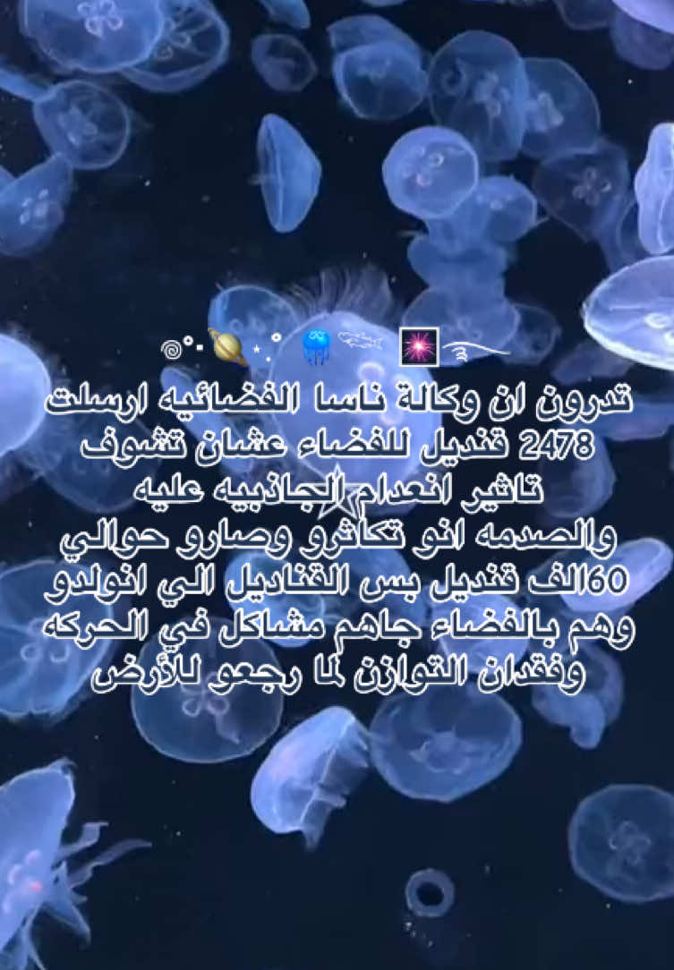 @Sh|شَ 🌊🪷࿐ ౨ৎ ⋆ 。˚