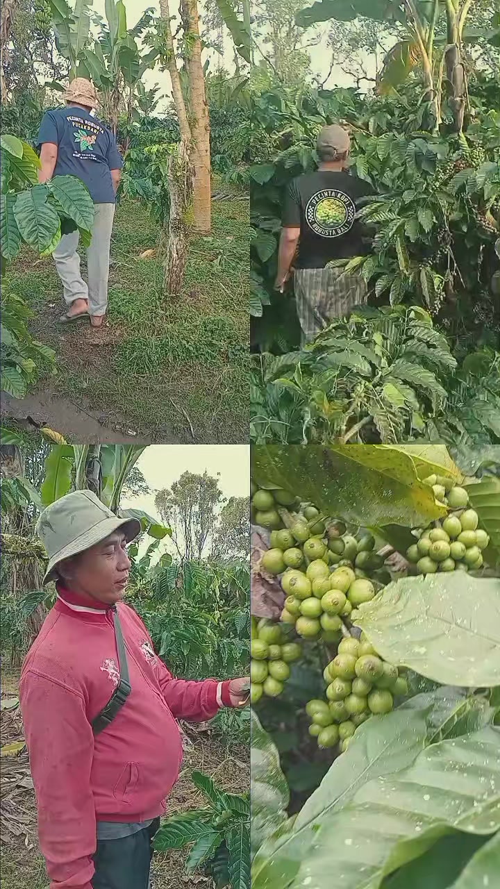 @Nyoman Suardana