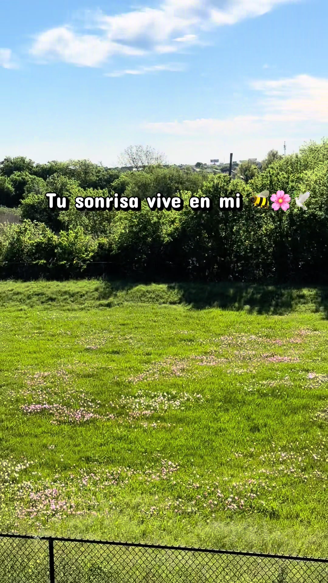 @Sammy Rodriguez