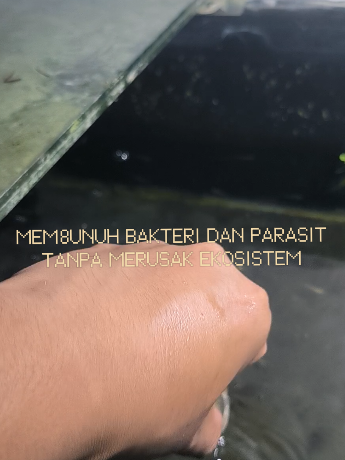 @Punya Namita
