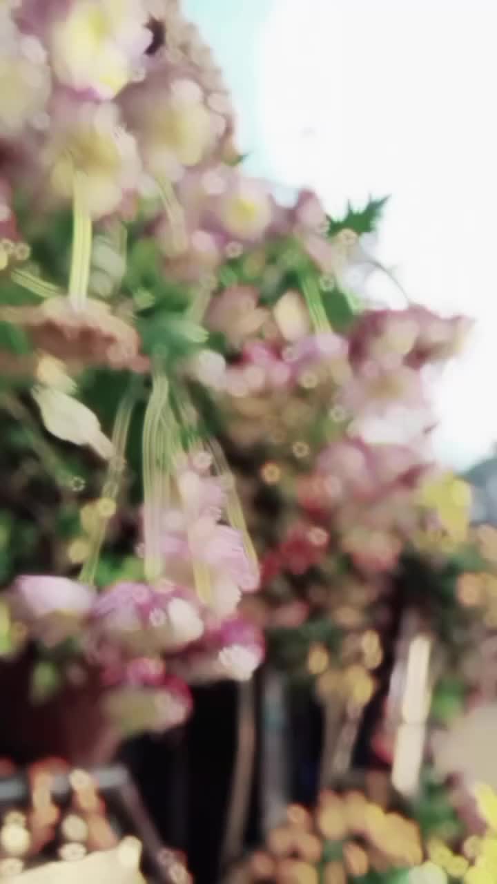 @Abbas Butt