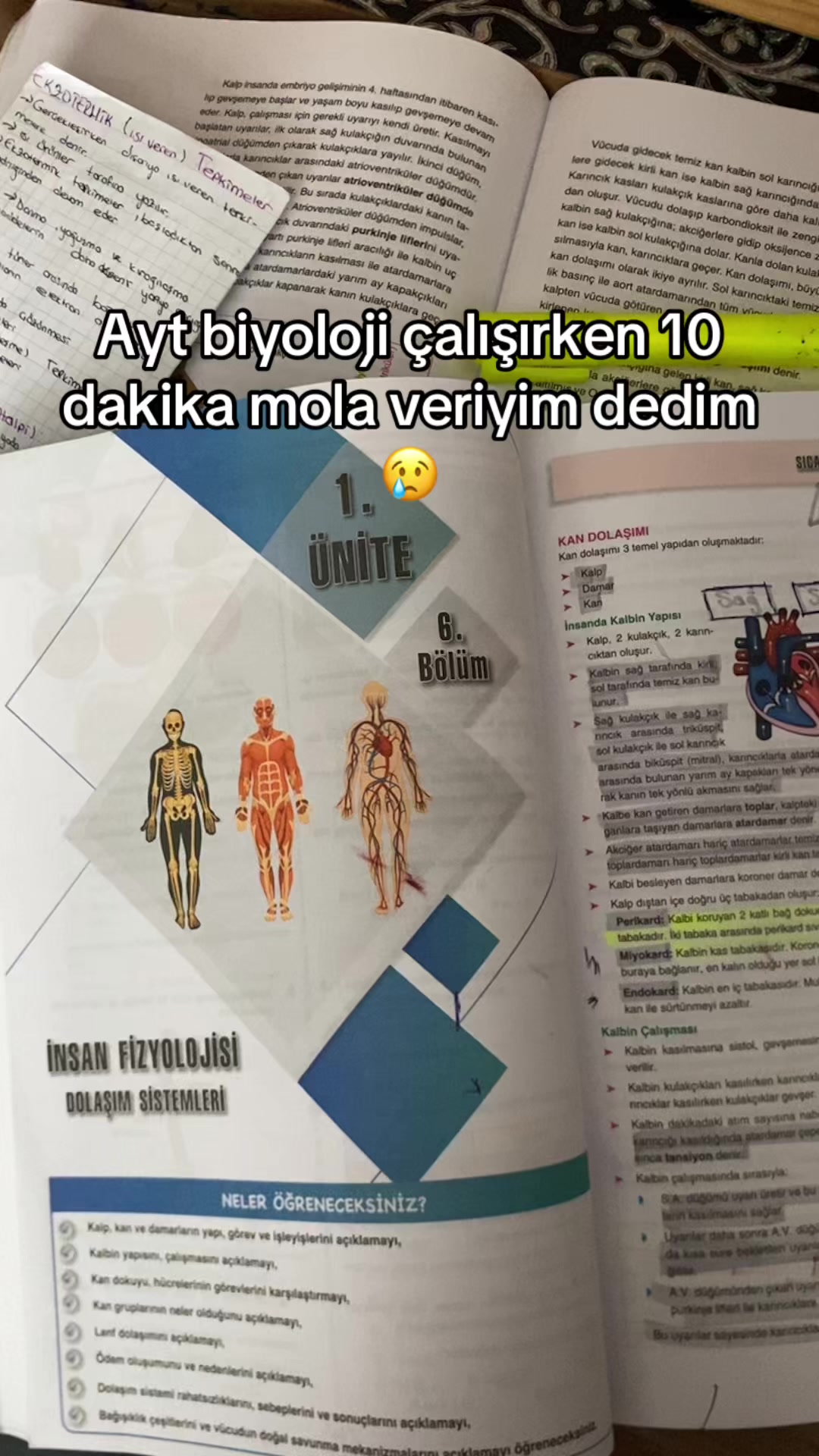 @ykszede27