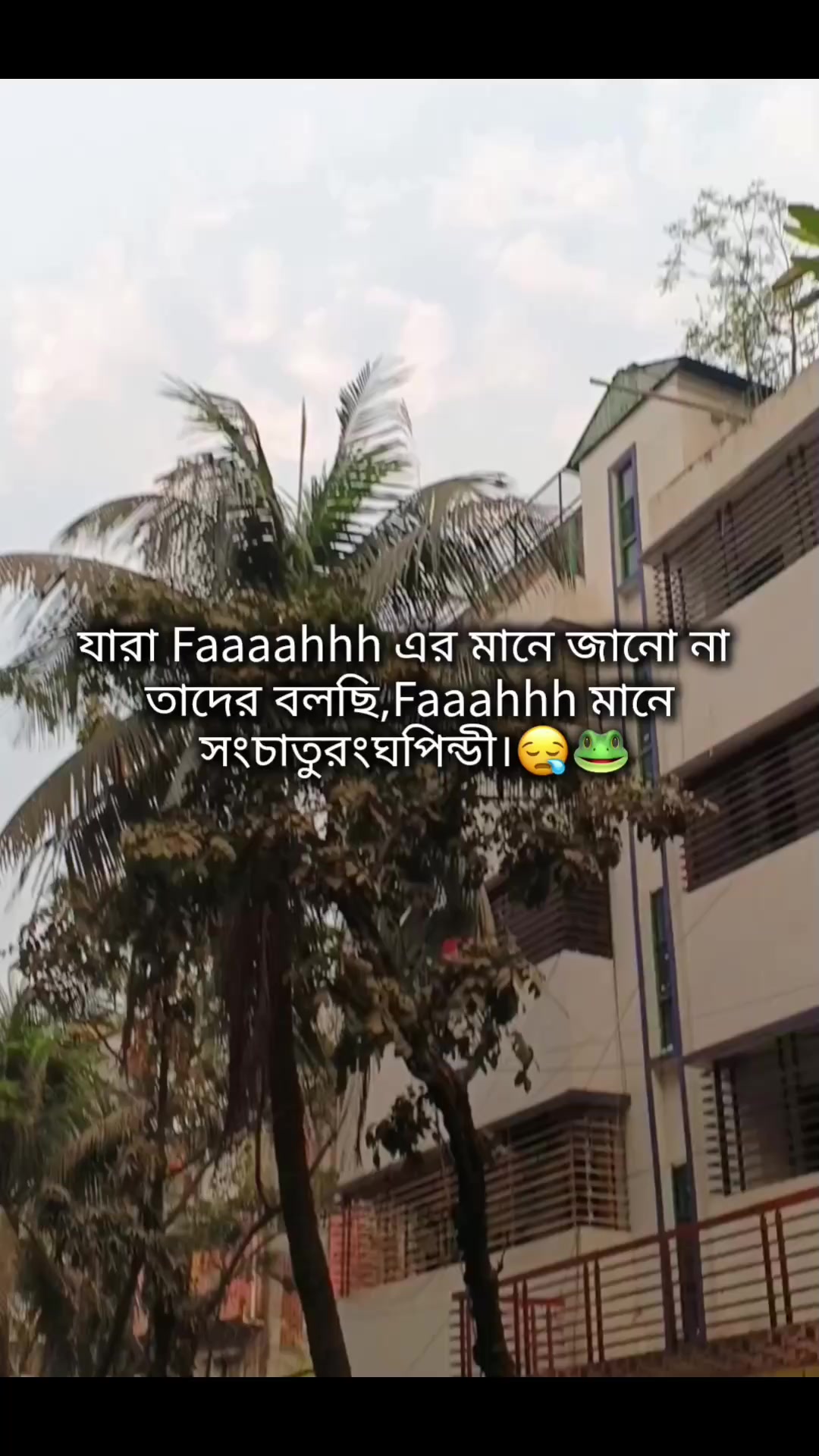 @Rashed Islam 💖