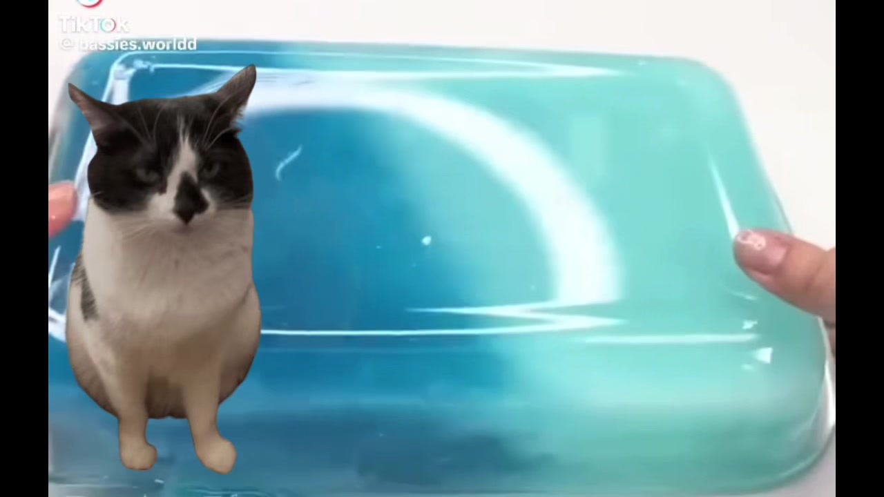 @🐈☦️✝️Cam✝️☦️😻