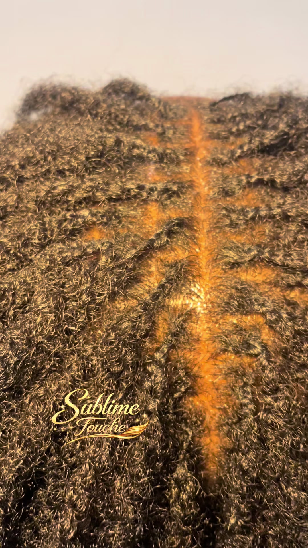 @Sublime touche ❤️