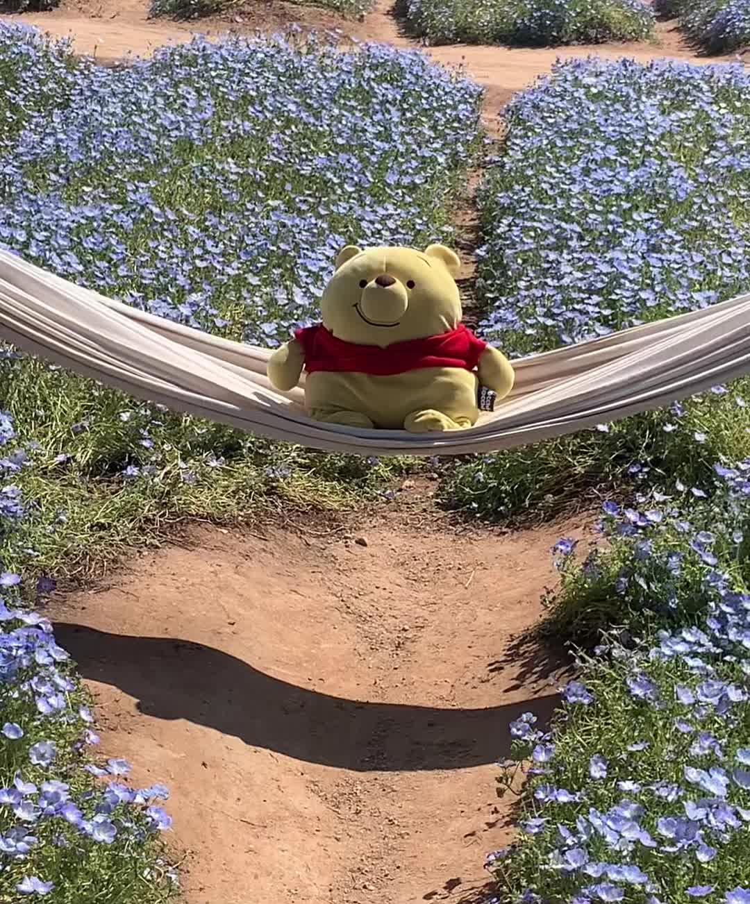@愛傑夏