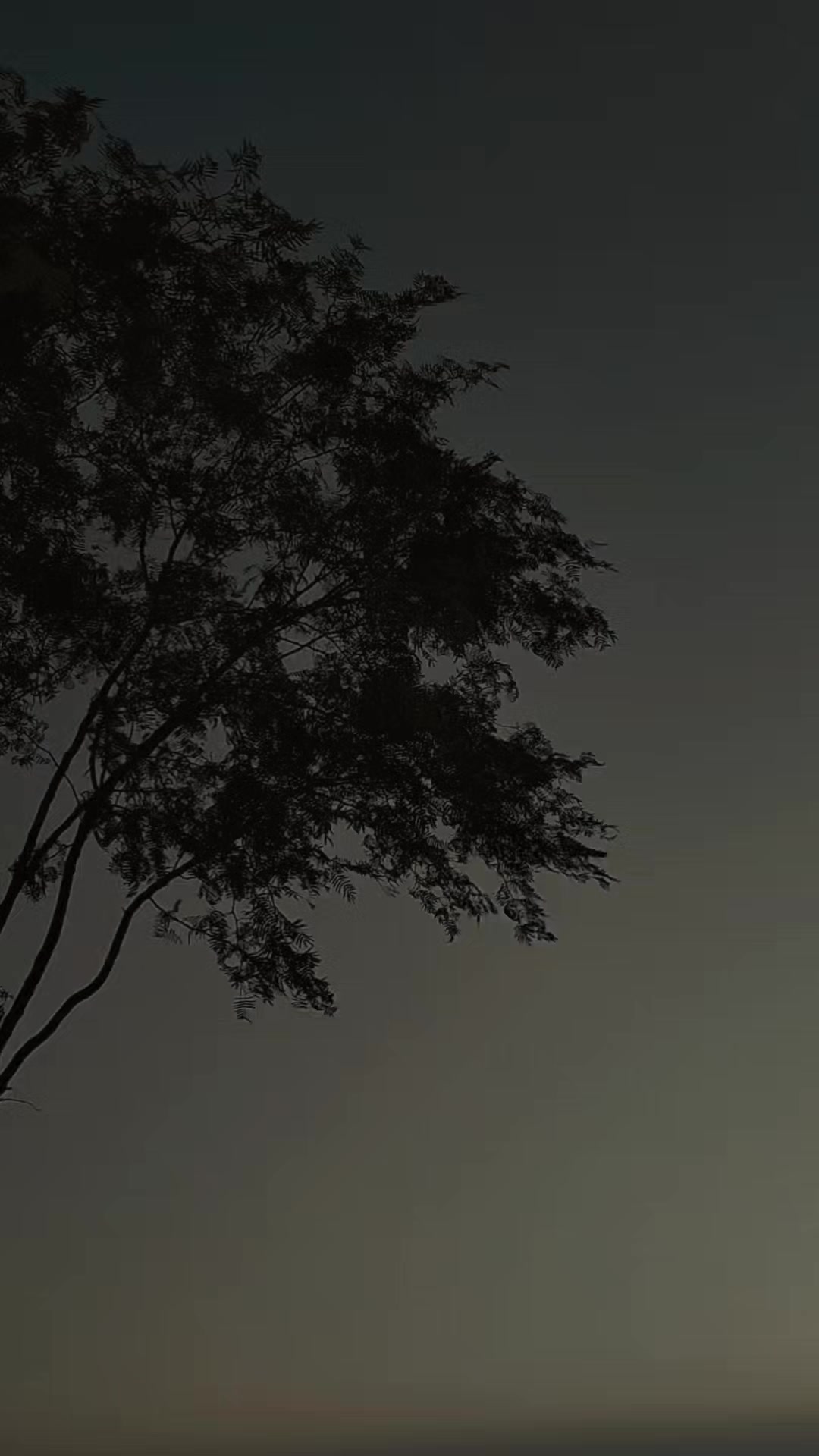 @🍂 حسان🍁