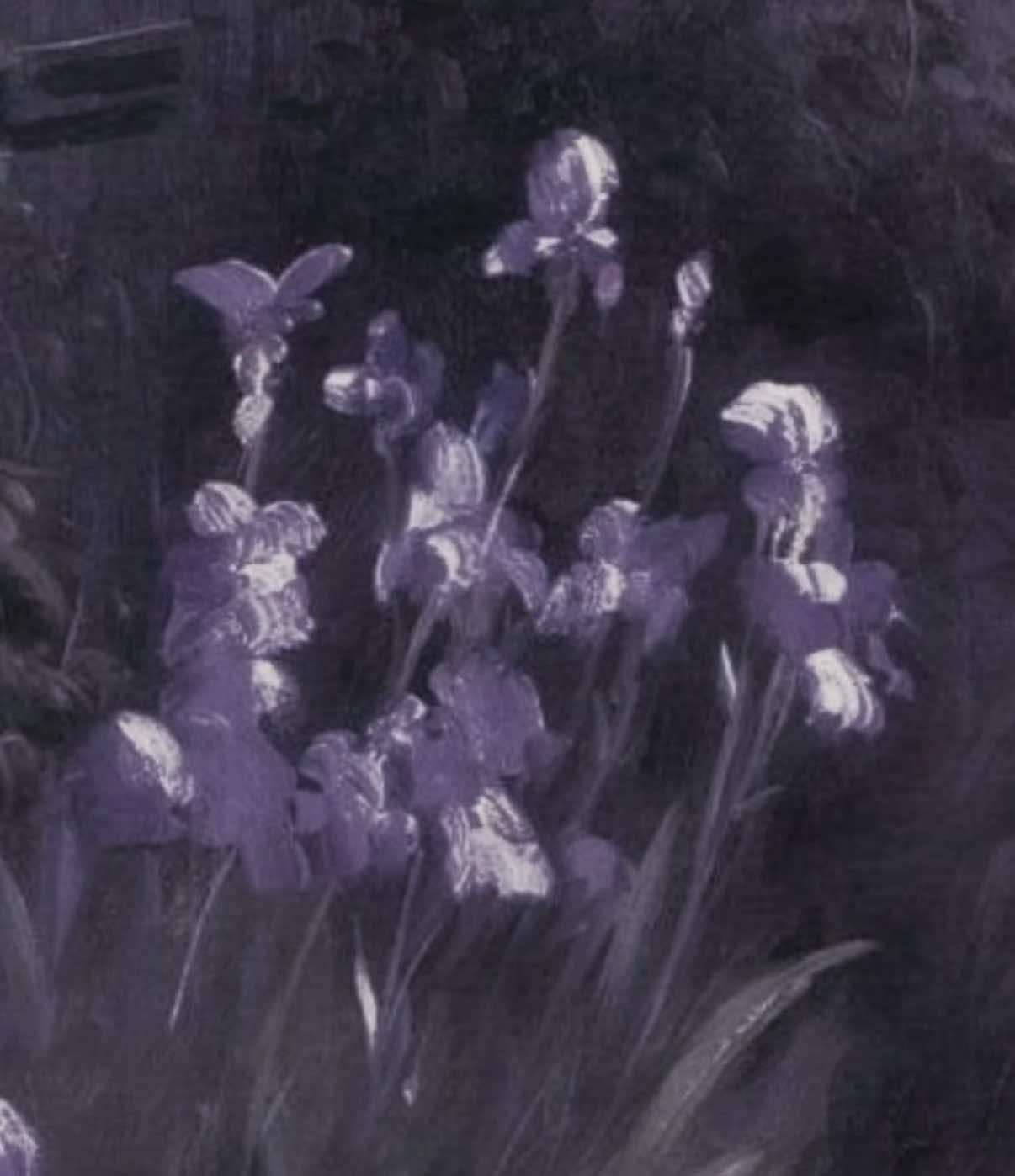 @ℒ𝓊𝓃𝒶