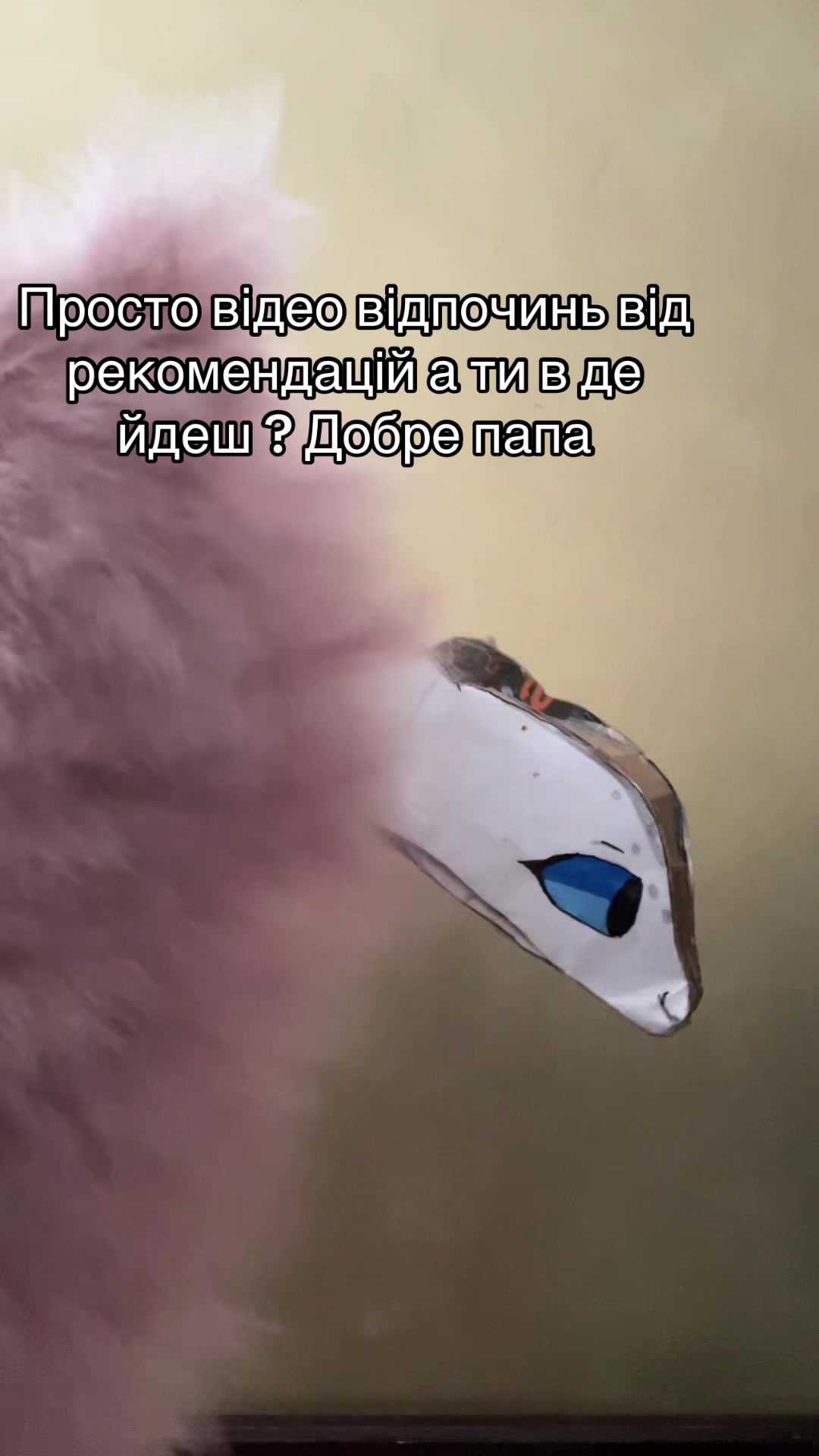@๐๐ฉL๐๐ฉi๐๐ฉm๐๐ฉe๐๐ฉ