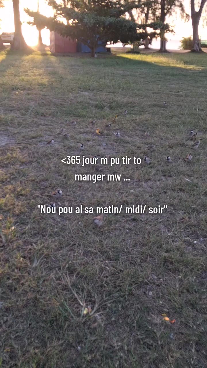 @AYAÁN̈