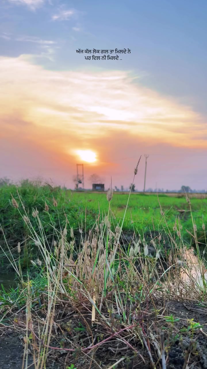 @ਓਹ ਕਹਿੰਦਾ 🌾