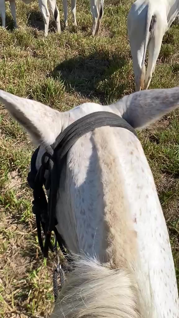 @Marinêz