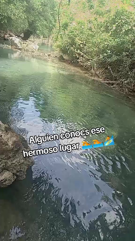 @anelo