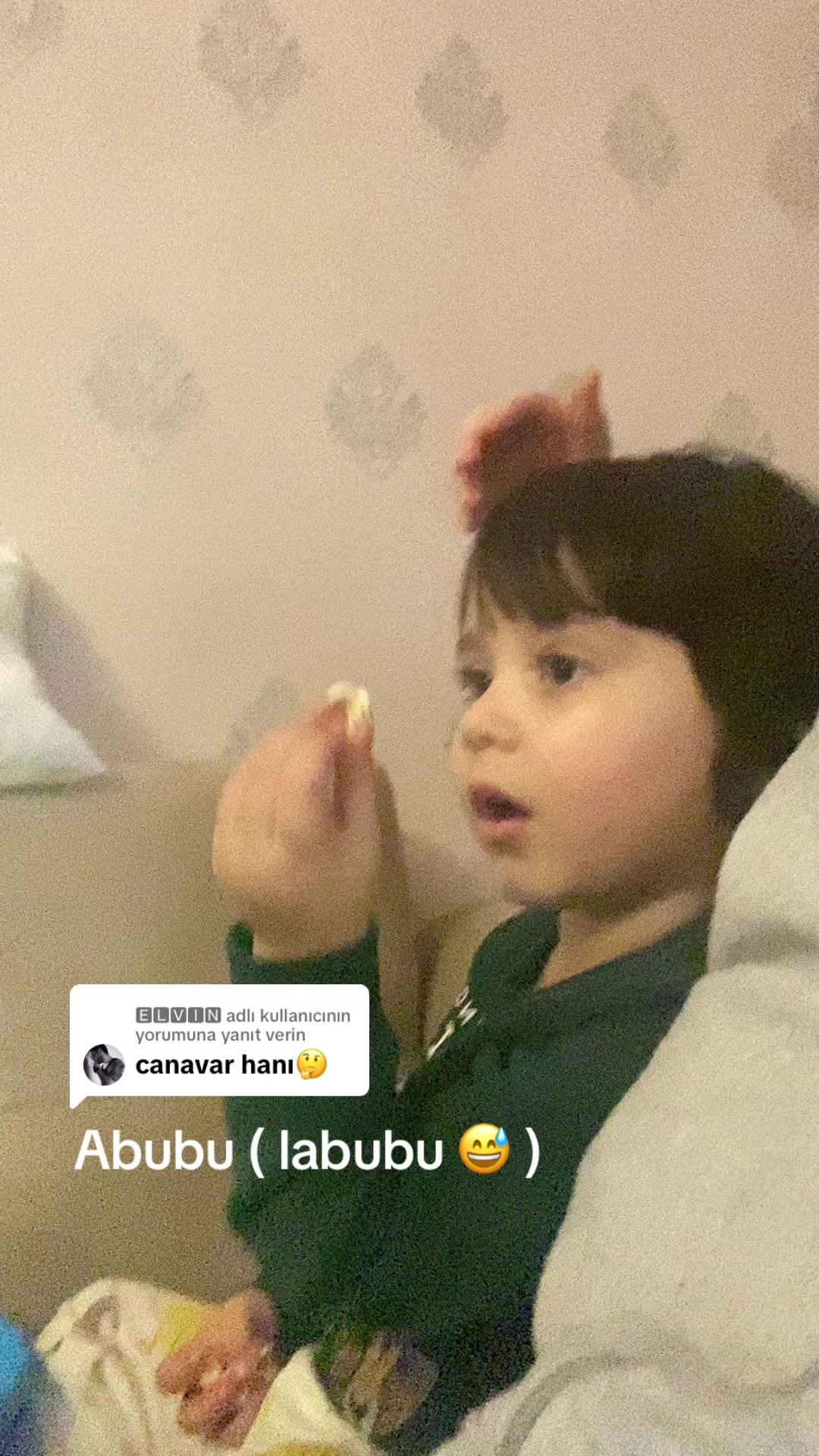 @amin.qezenfer