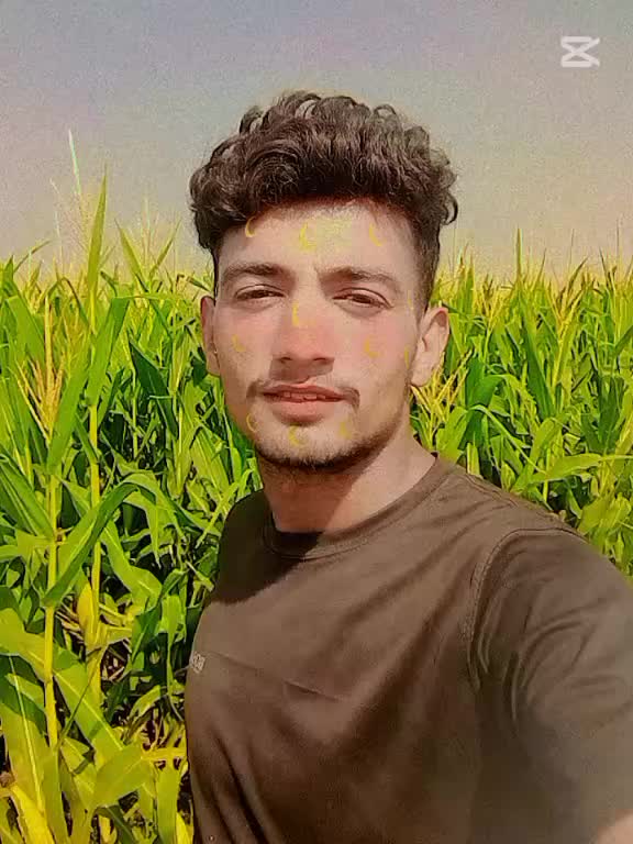 @MUSTFA Khichi