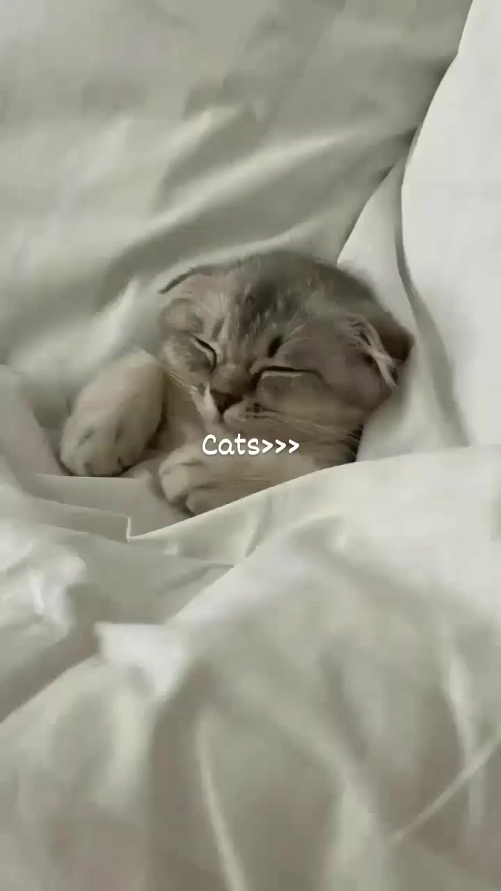 @تیـانـا❤🐈