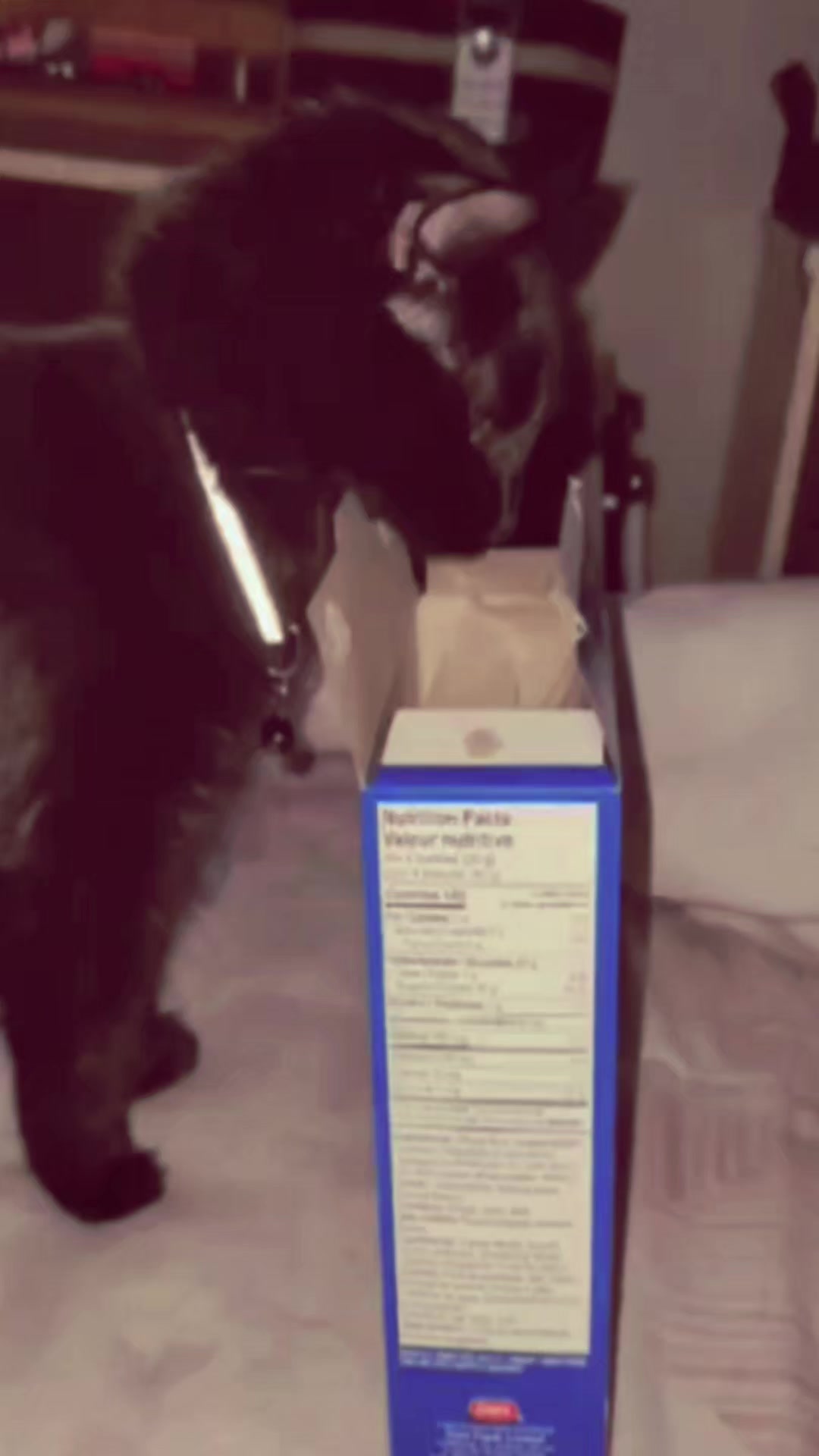 @🥤🥓