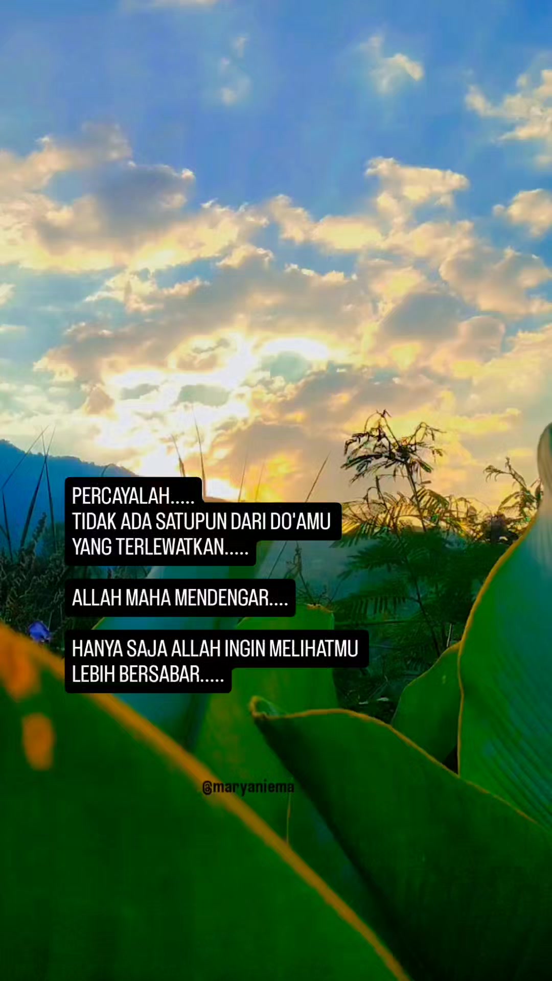 @mamih endut