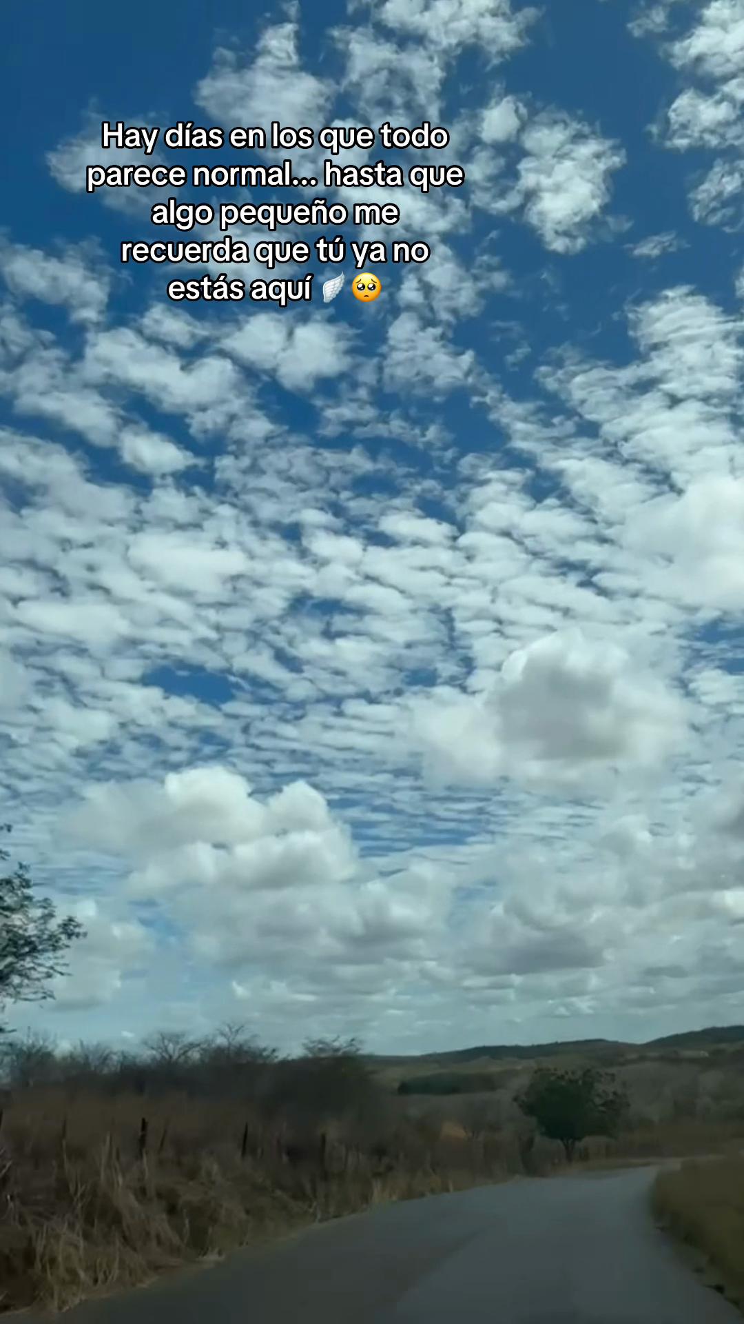 @Carmencita 🕊️🤍