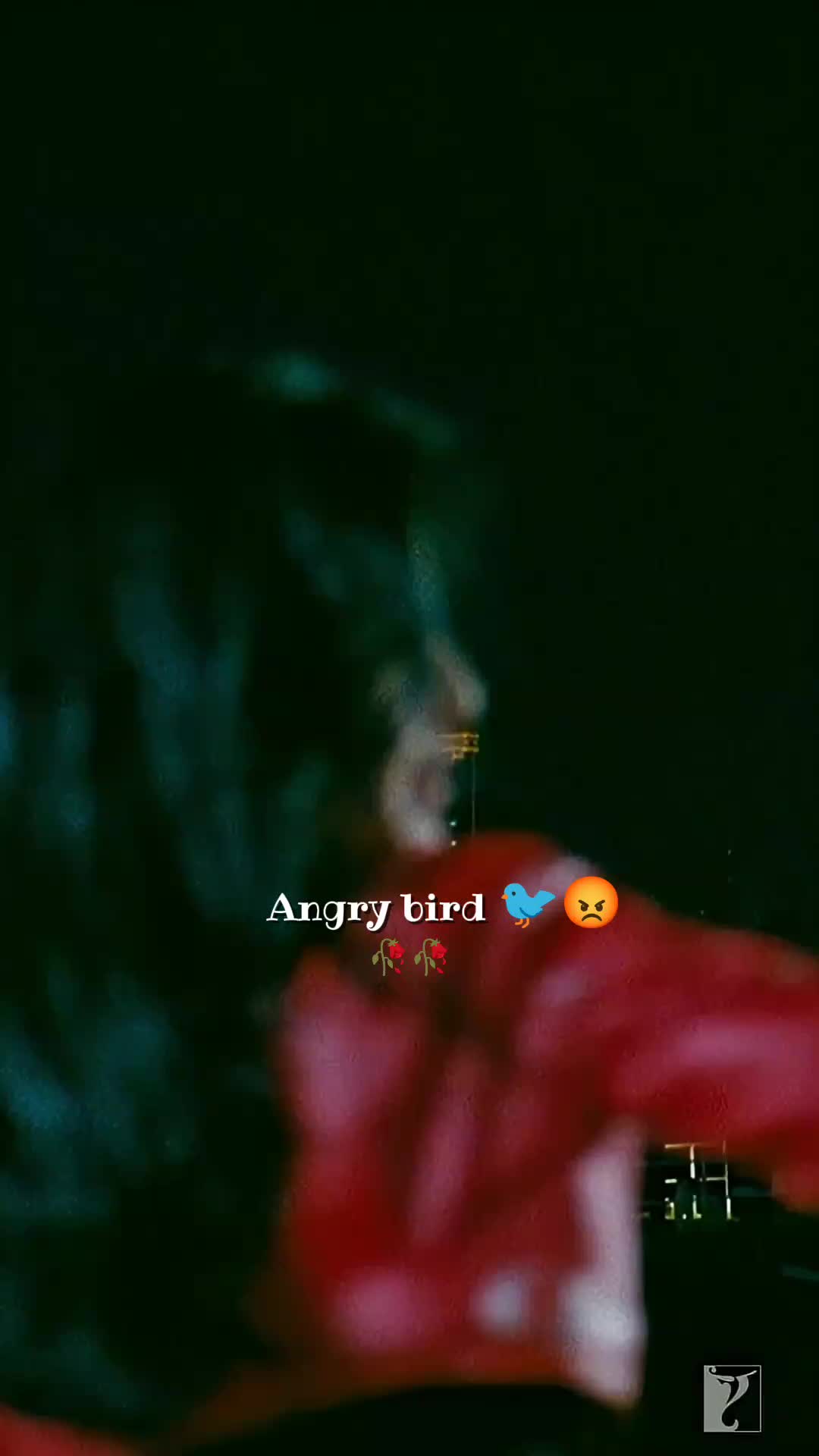@💫𝖆𝖓𝖌𝖗𝖞 𝖇𝖎𝖗𝖉𝖘💫💥