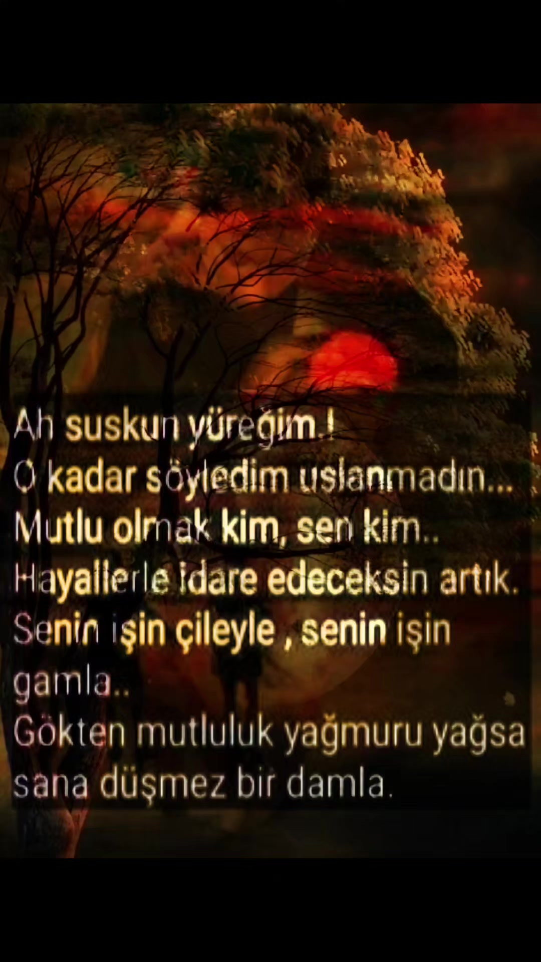 @Ayperi