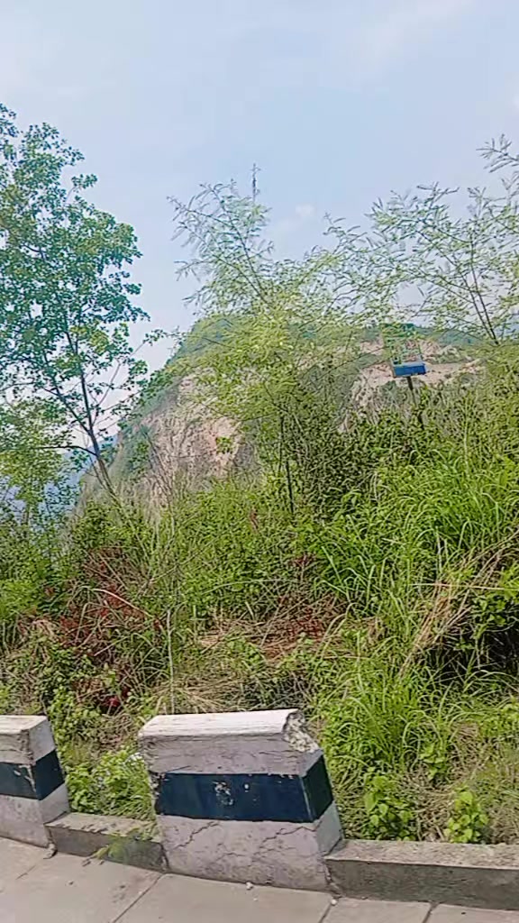 @chandrika das