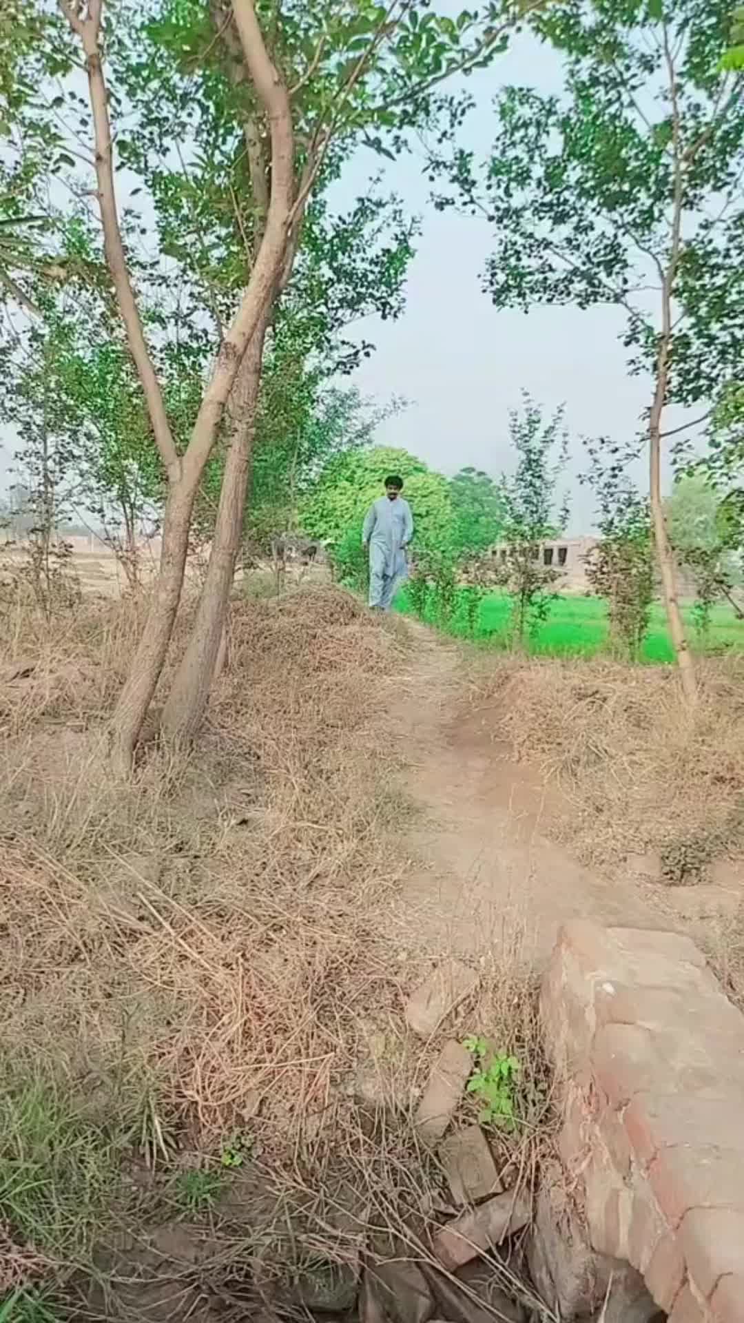 @MUBASHAR SIPRA 999💧