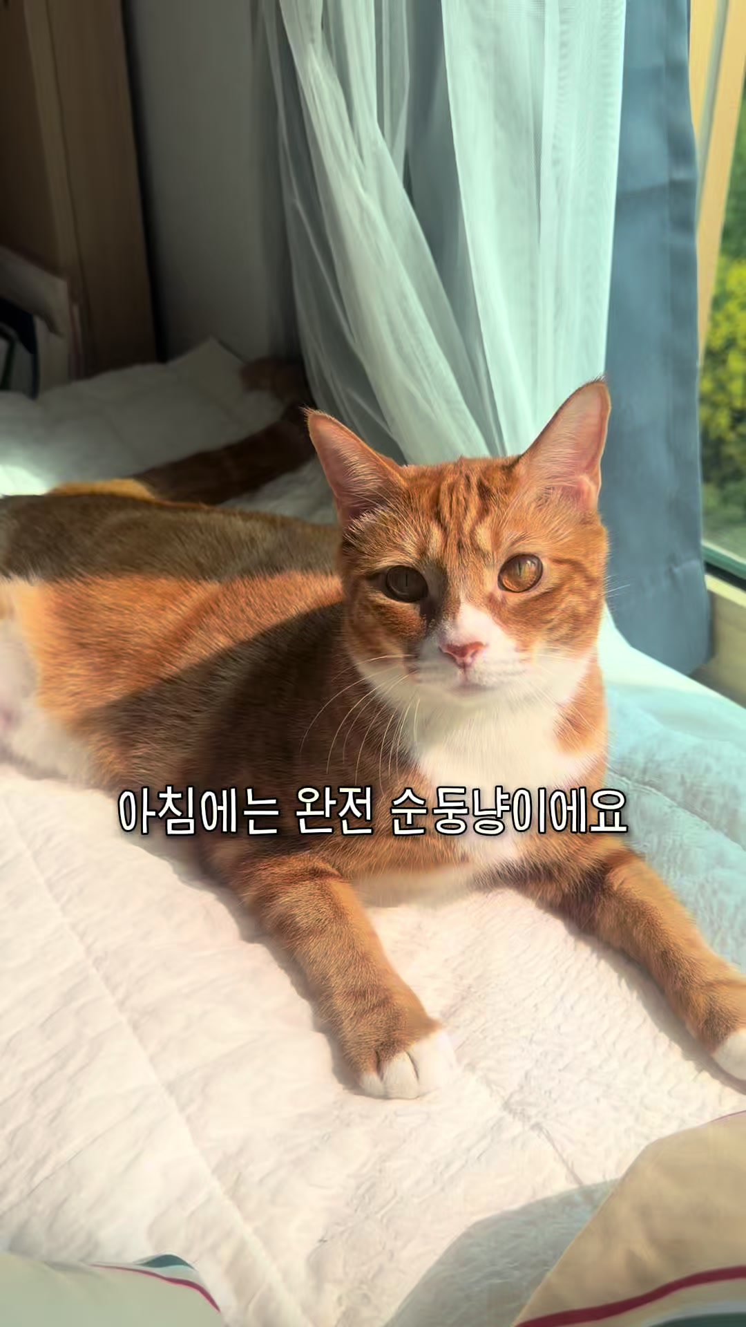 @뮤춘삼