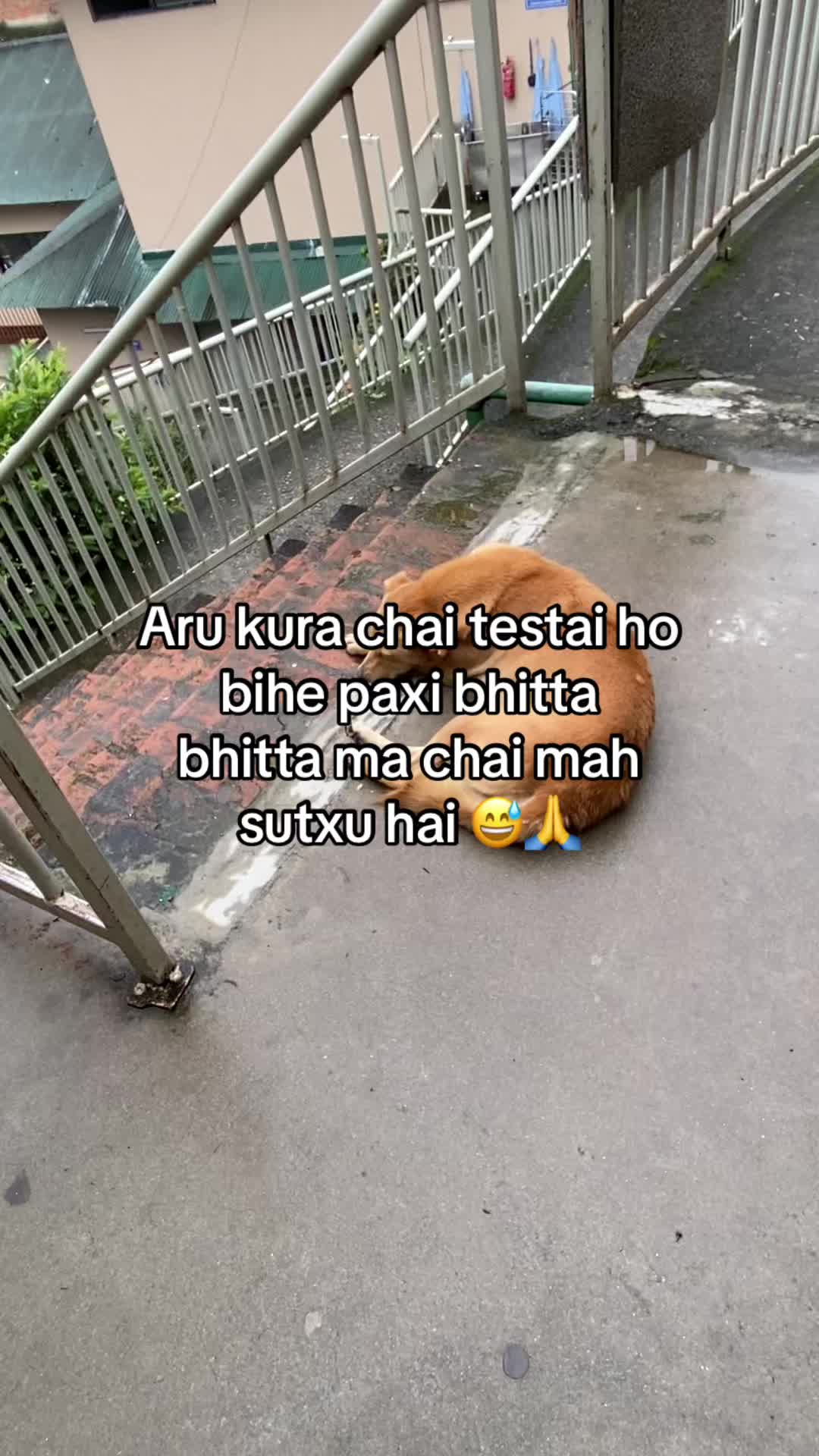 @Sudeep Golēy