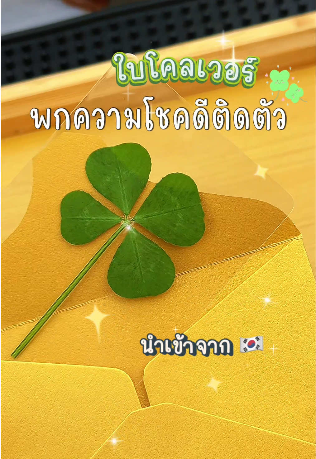 @วิปว่าดี🐱🍊