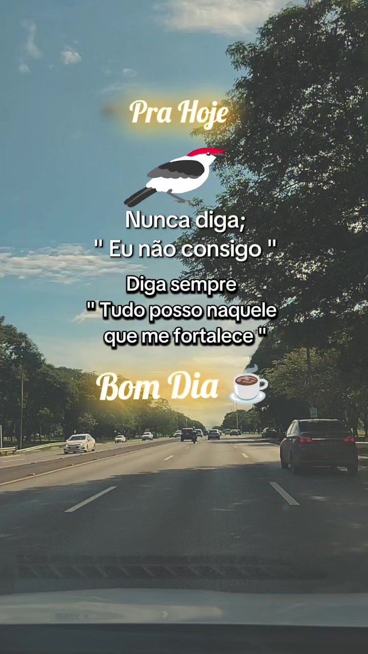 @De tudo um pouco/TikTok shop
