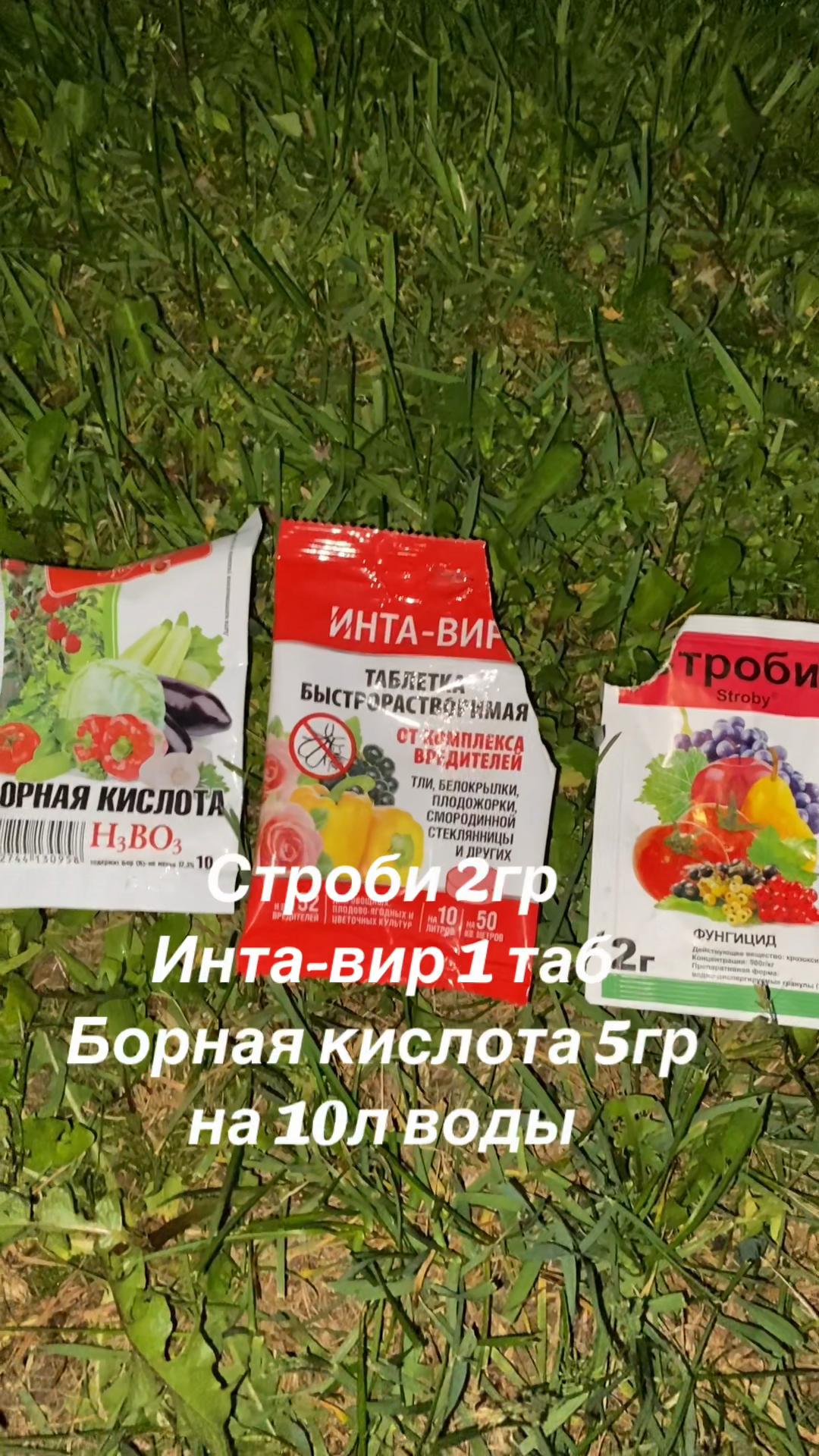 @сад🍏🍒🍇