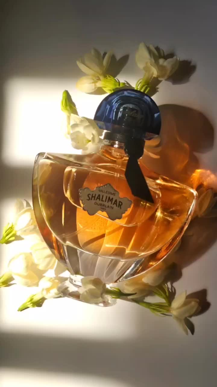 @Ardan — Fragrance Euphoria