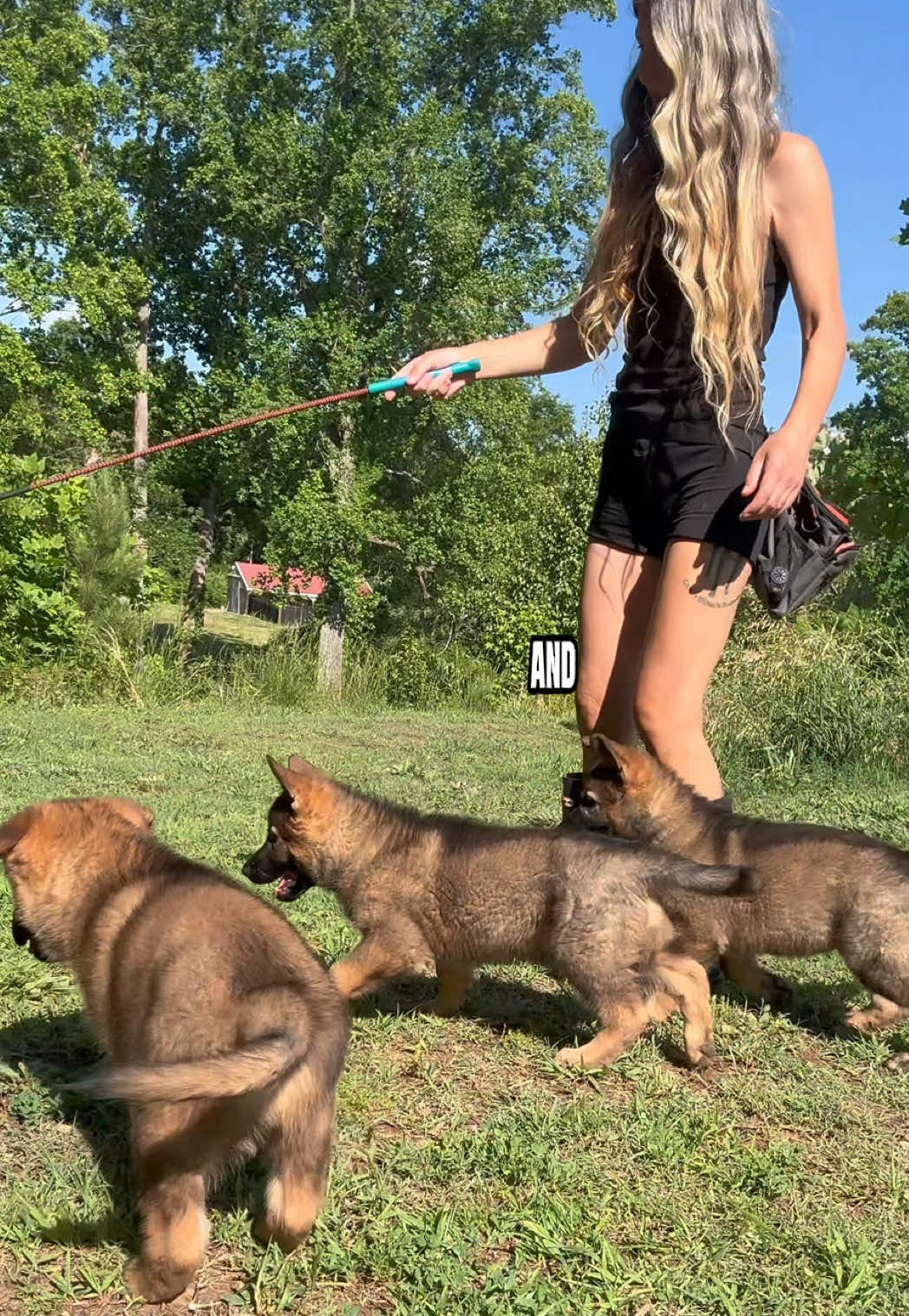 @True Guard K9 I Tara