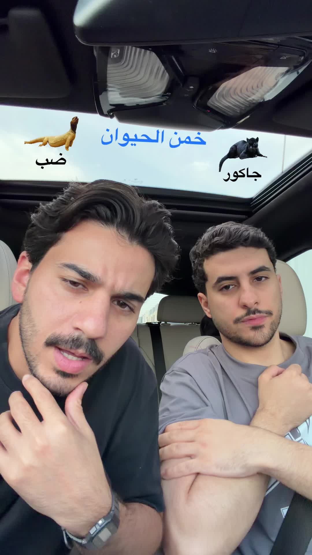 @Elias Setta الياس السته