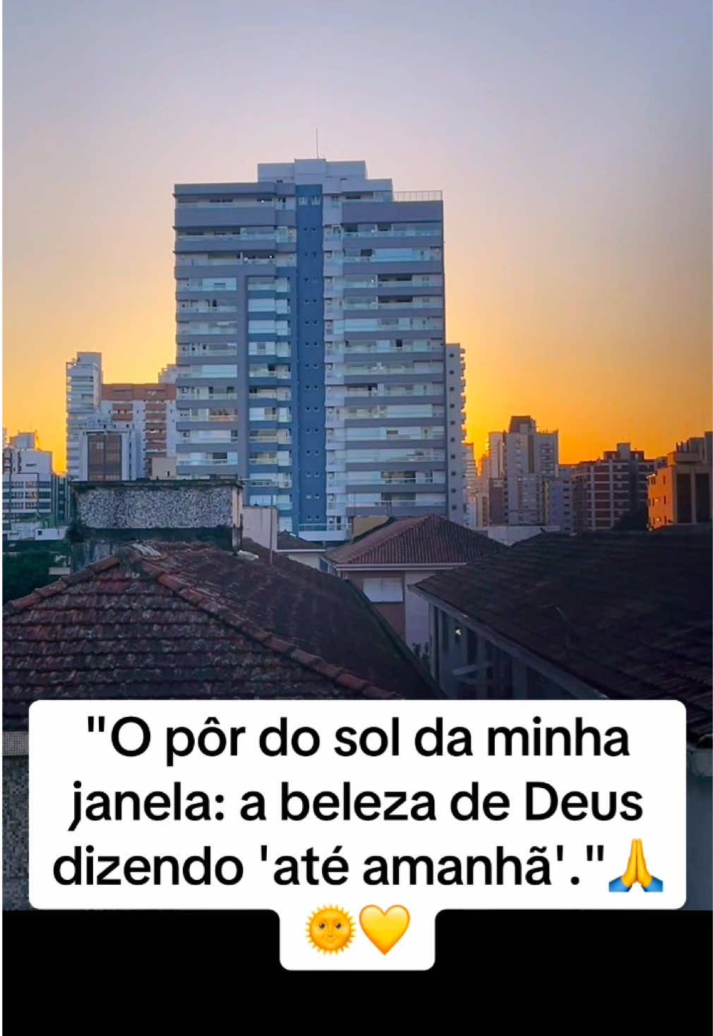 @Angélica Assunção