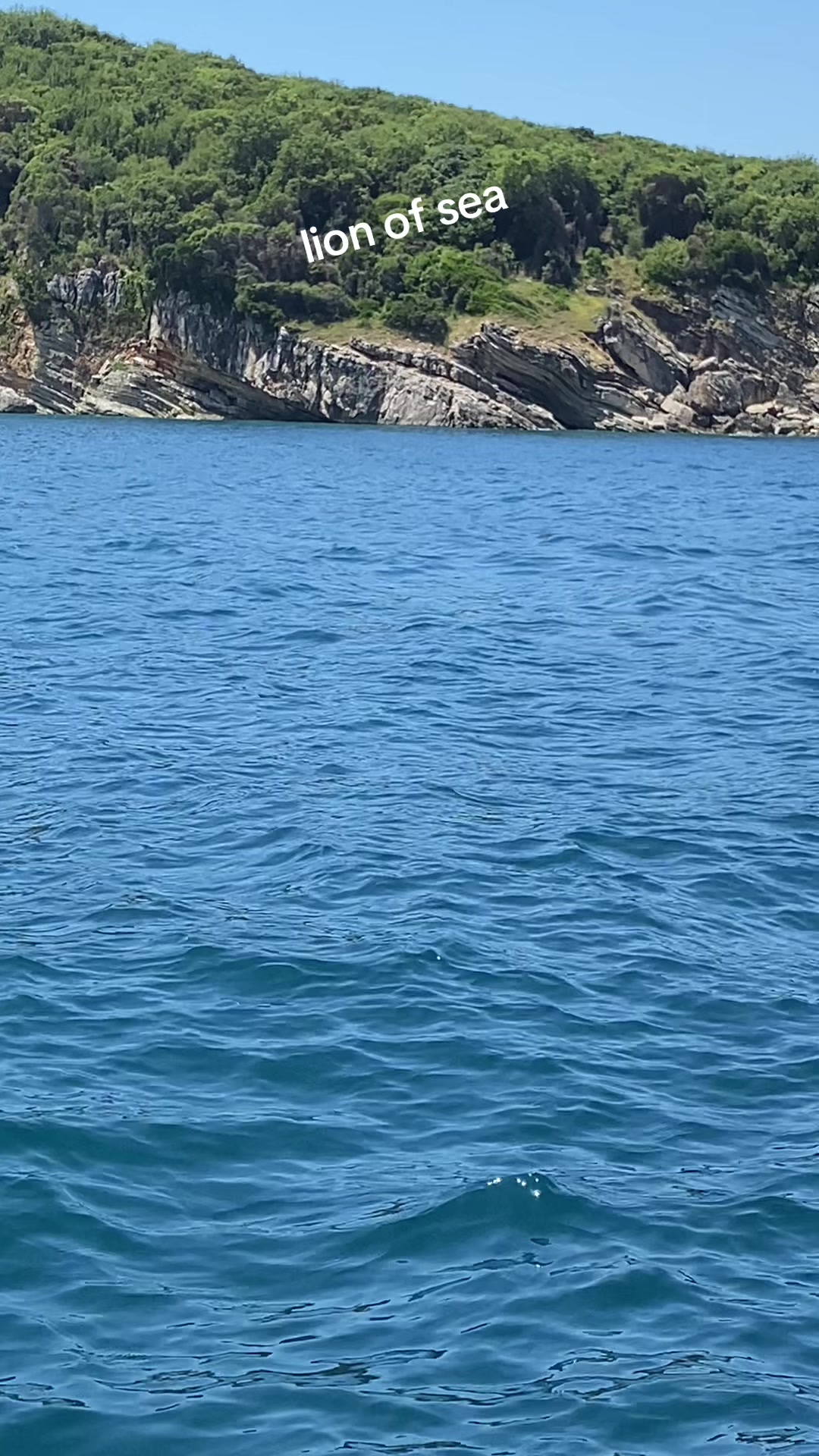 @captain_ksamil 🇦🇱🇦🇱