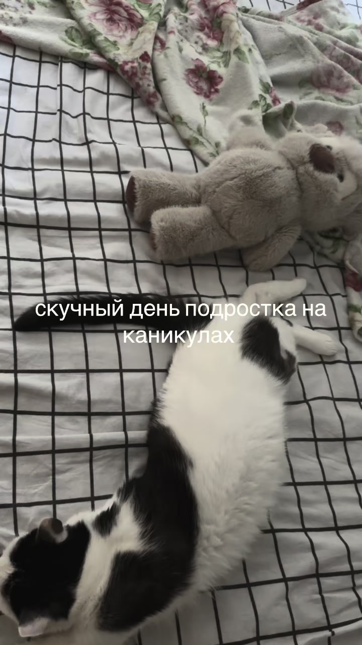 @<3