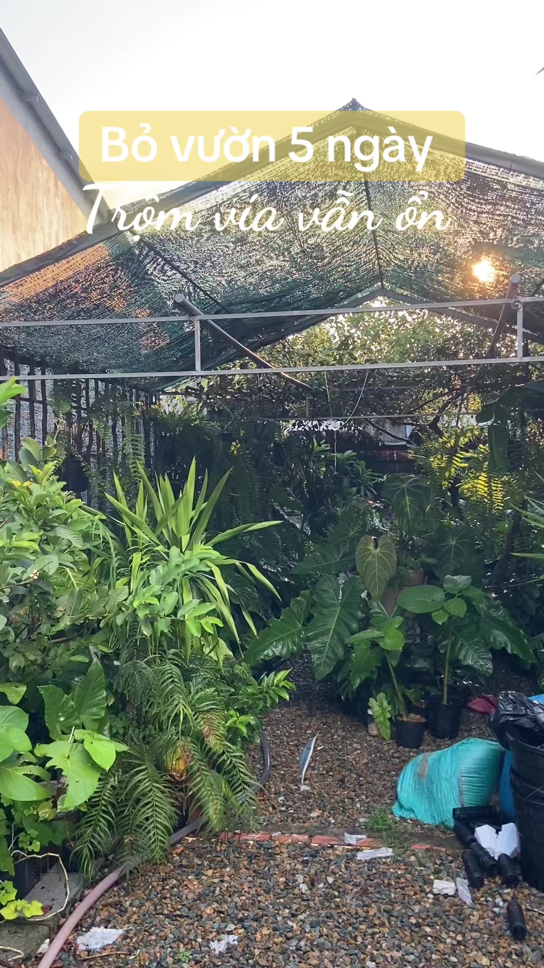 @Kid Garden Decor