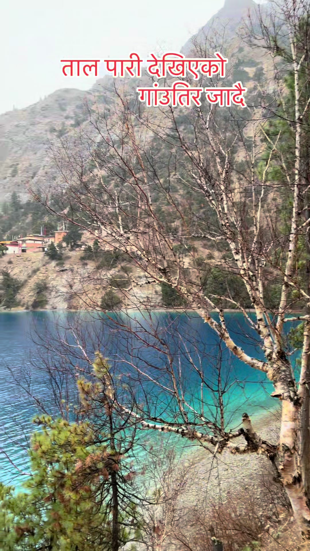 @TravellerShankar