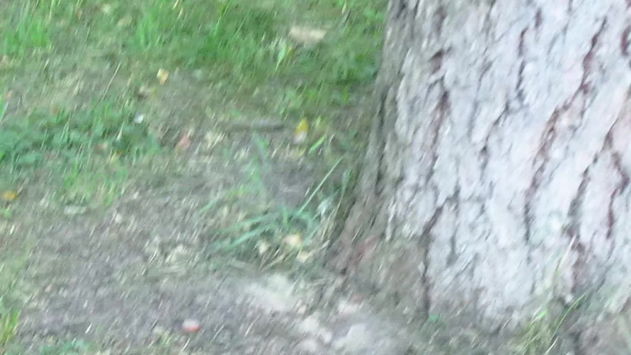 @😛