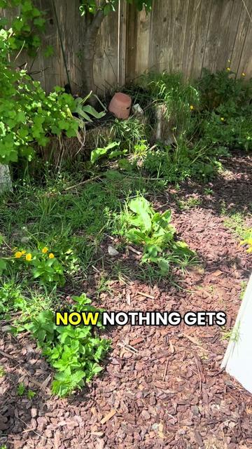 @Bakedgardening