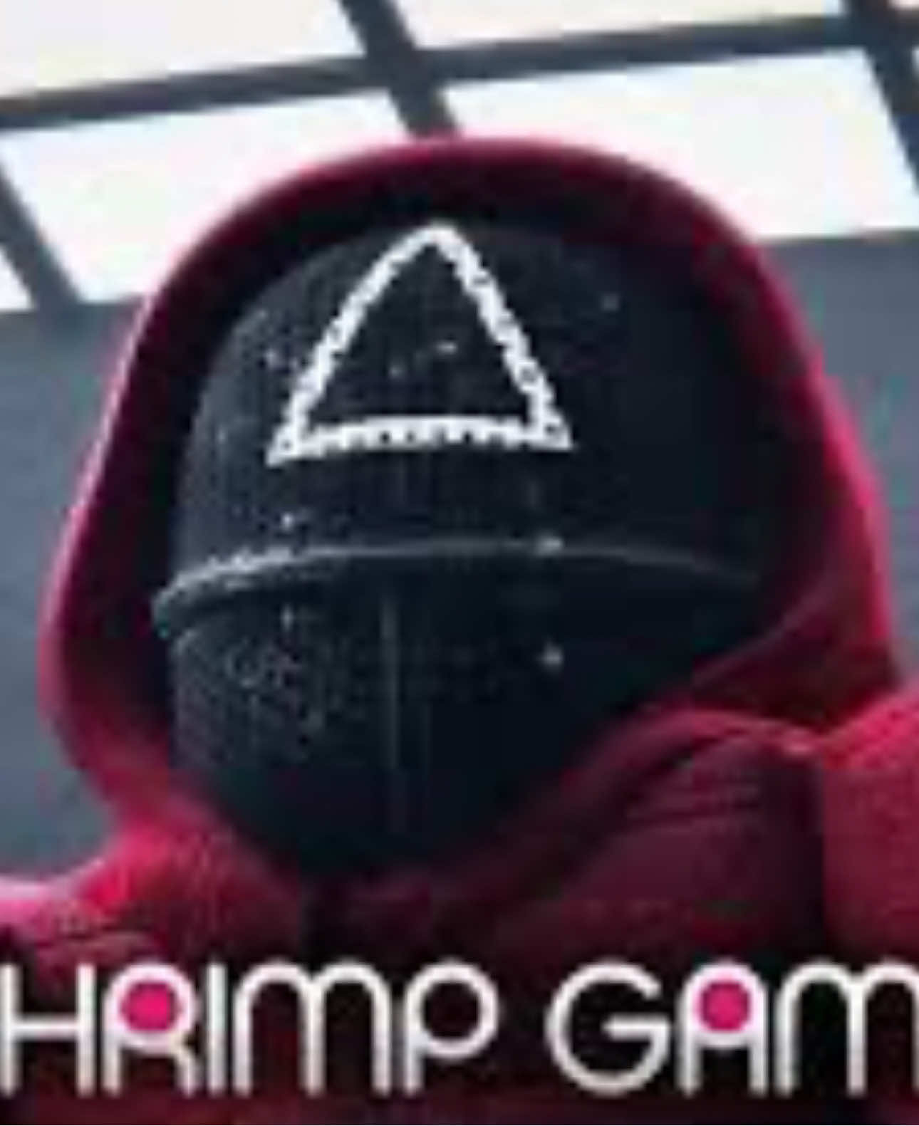 @TikTokGamer2234