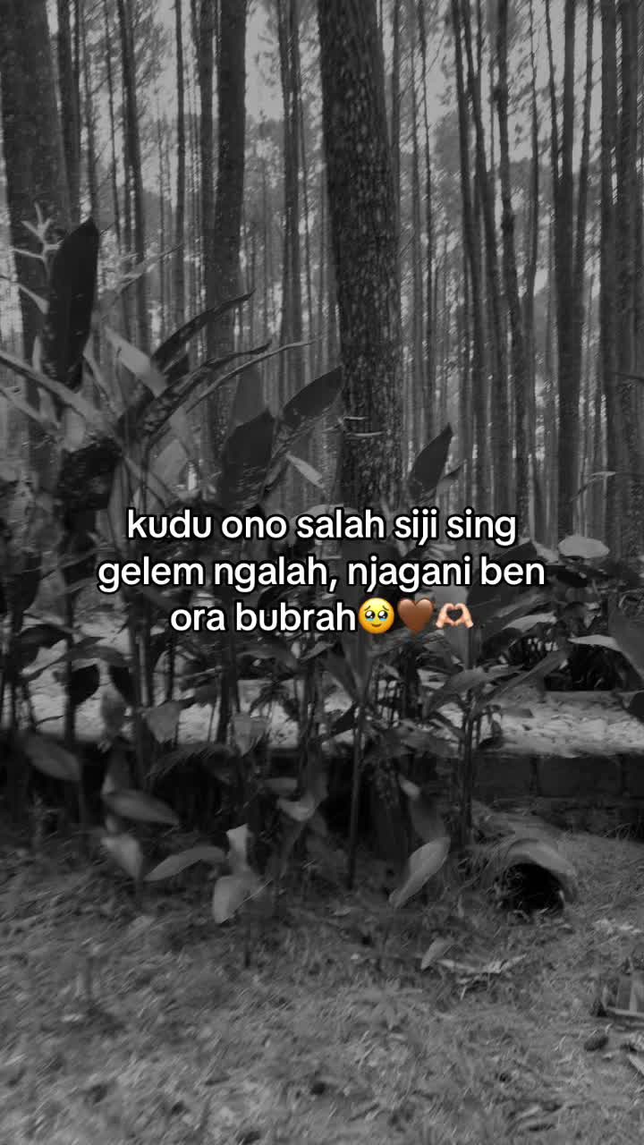 @ripikiu.w